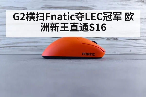 G2 vs Fnatic final