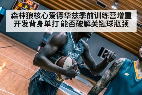 森林狼核心爱德华兹季前训练营增重开发背身单打 能否破解关键球瓶颈